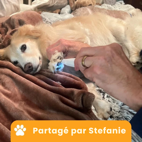 PawTrim Pro™ - Tondeuse des Pattes Indolore en Quelques Secondes