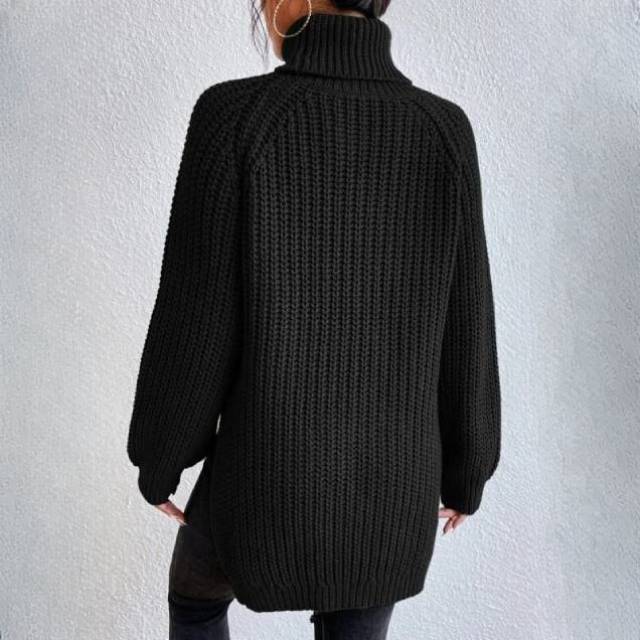 Nyzara™ - Pull à col roulé uni